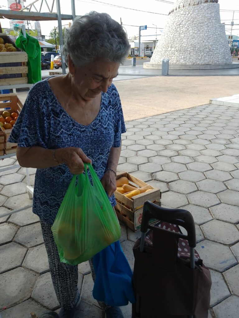 FERIAZO de las Unión Trabajadores de la Tierra